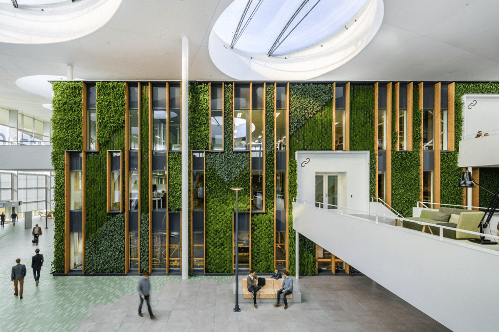 A green office