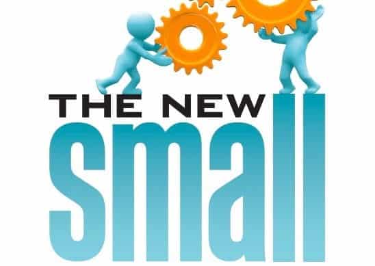 The New Small: Read an Excerpt