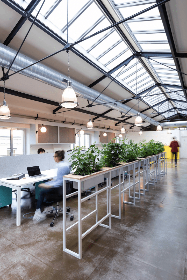 A green workspace with an open floor plan