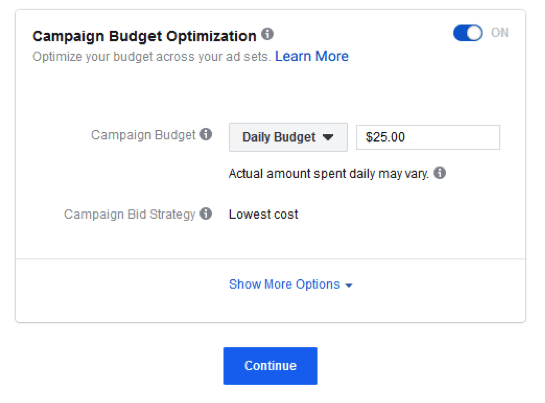 facebook ads campaign budget optimization